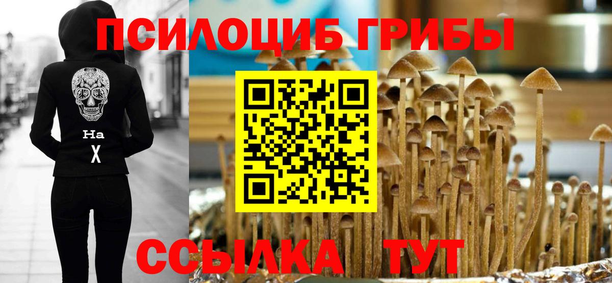 Старый Оскол  Галлюциногенные грибы GOLDEN TEACHER  магазин продажи   Вход с VPN  Псилоцибиновые грибы Psilocybe 